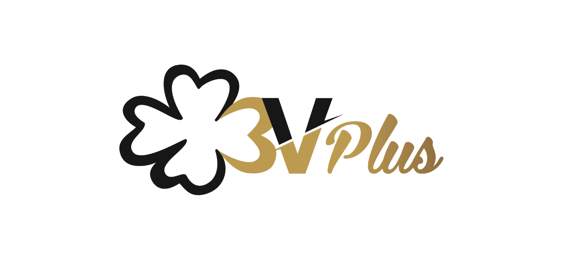 Logo 3Vplus