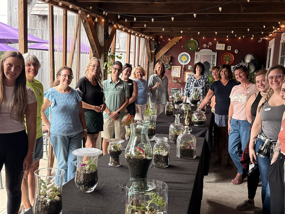 Build Your Own Terrarium Workshop