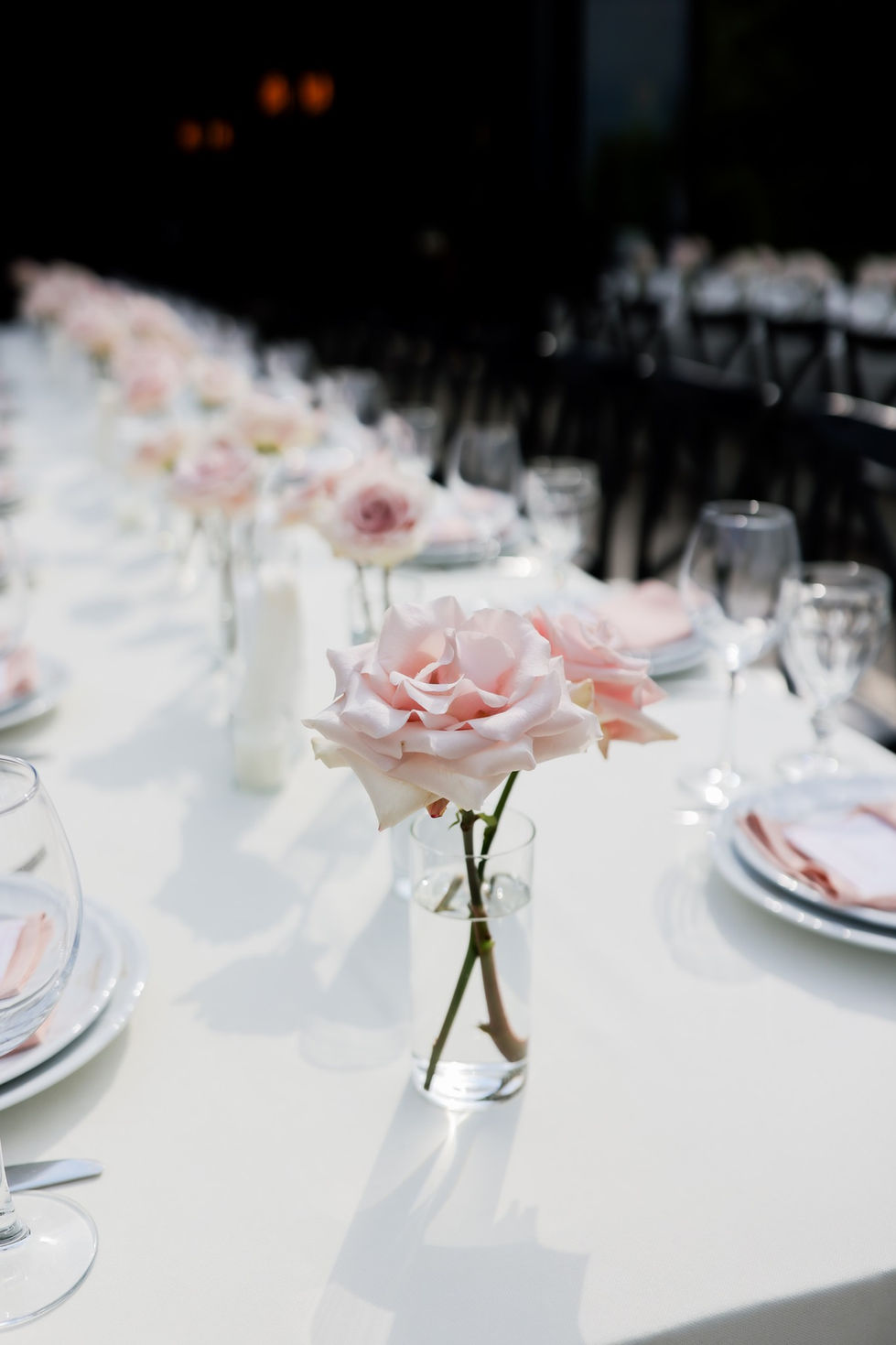 558209133_833534345668163_5973987612448988504_n