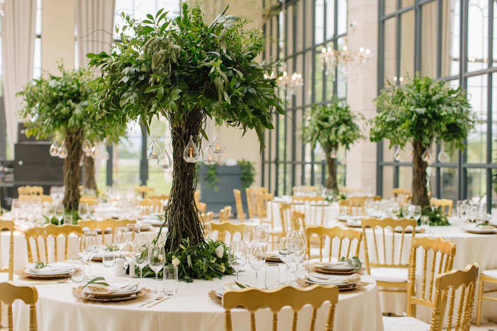 480805160_661521706202762_5122642829435067186_n