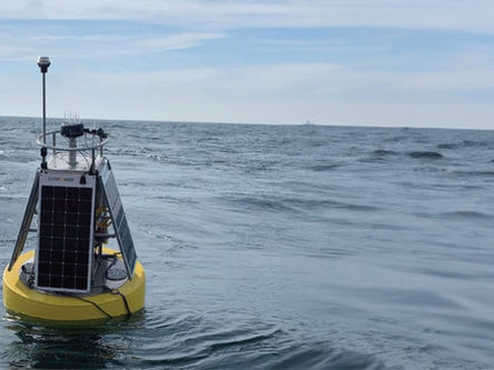 Case Study: SeaPicket system