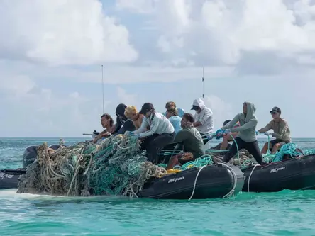 PMDP season recap 2025