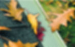 parefeuilles-feuilles.jpeg