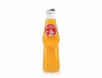 Uludag Gazoz Orange 250ml