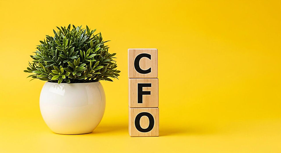 CFO bricks and a plant