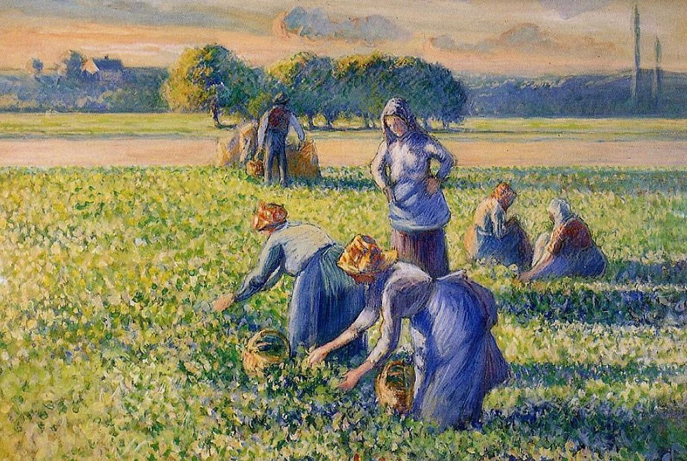 Droit et art à la plage avec Camille Pissarro (épisode 3)
