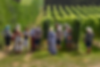 hush heath 2.jpg