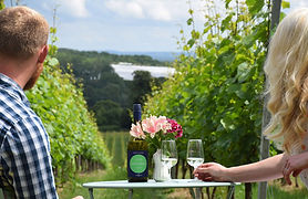 YC-PICNICS-1.jpg