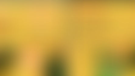 Requisitos de concurso Construcción de la memoria fílmica local