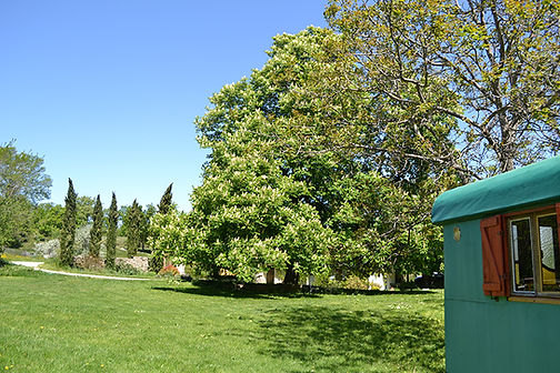 DSC_0647_PIGEONNIER ROULOTTE.jpg