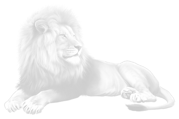 serginion-lion-5828328_1280_edited_edited.png