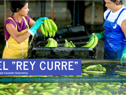 Incremento en el cultivo del Platano para los indígenas.