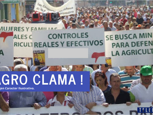 Agricultura costarricense clama por ayuda para poder reactivarse