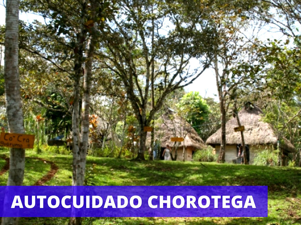 También se abrirá la Oficina Local de La Cruz para la atención de los distritos de La Cruz, Santa Cecilia, La Garita y Santa Elena. Además, del albergue para adolescentes varones.