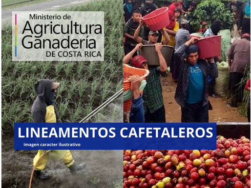 Ministerio de Agricultura y Ganadería aprobó lineamientos dirigidos a recolectores y productores.