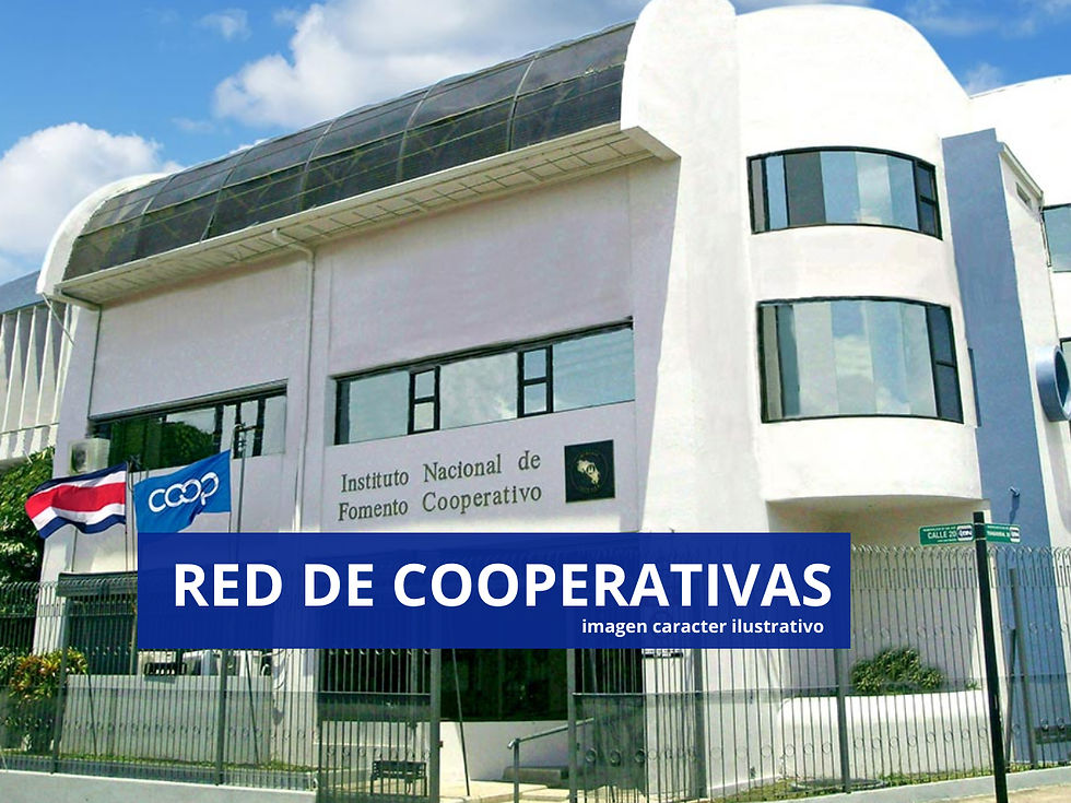 Cooperativas crean la primera Red Empresarial.