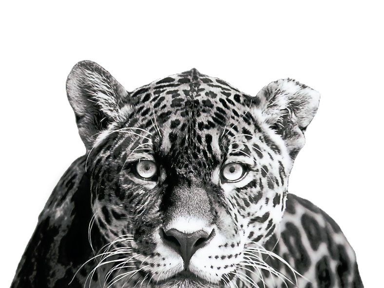 A New Design (3)_edited_edited_edited_ed