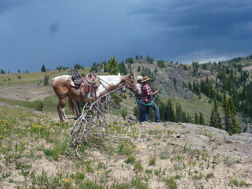 Gallery SCO & Adventures