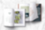 Katalog ve Dergi