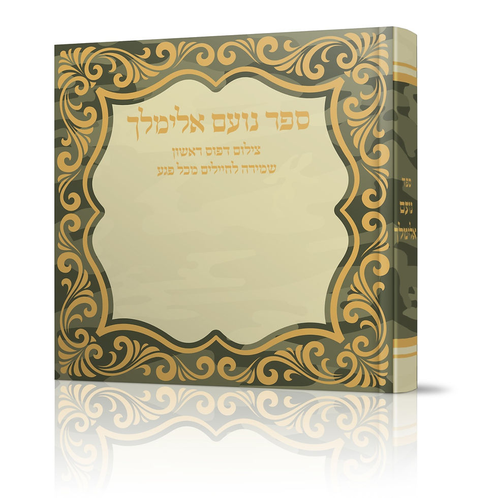 תמונה ממוזערת: נועם אלימלך לשמירה