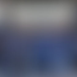 What a stellar year of support by the Williams Field HS Key Club!