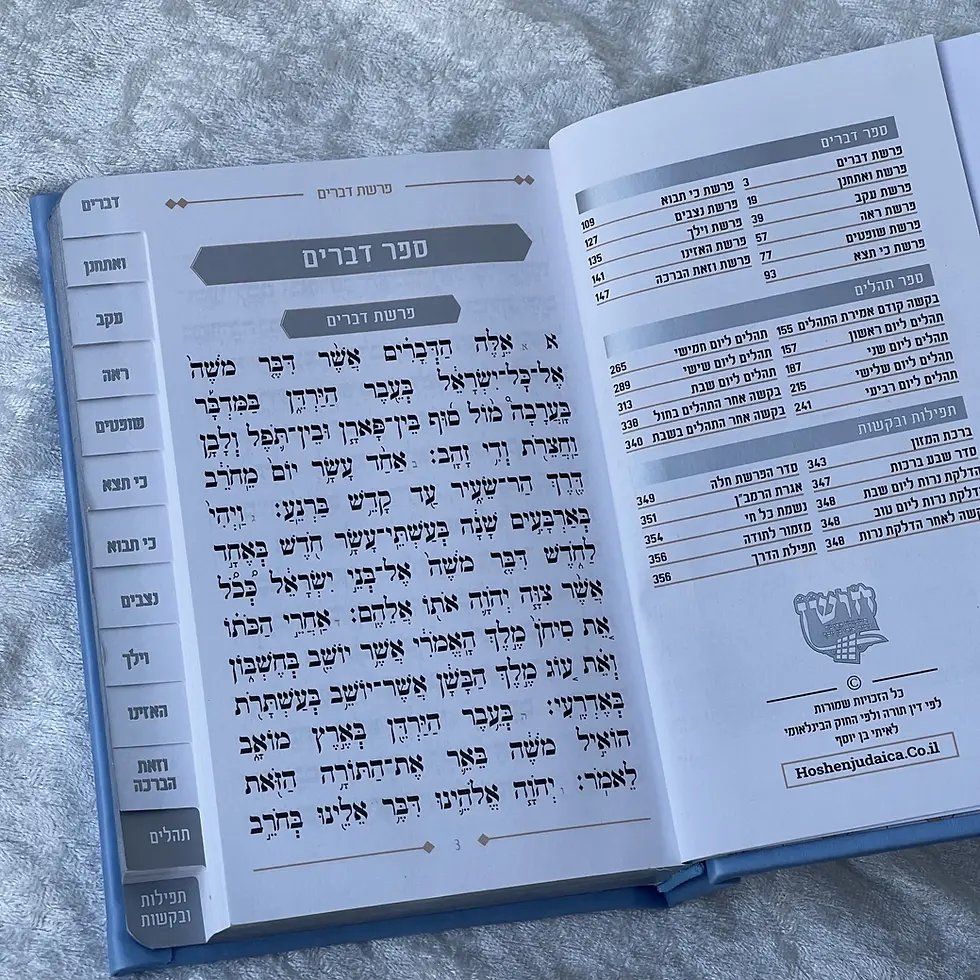 תמונה ממוזערת: ספר דברים ותהילים - תכלת