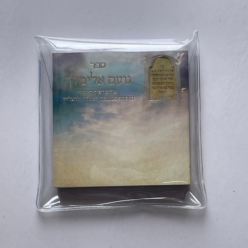 תמונה ממוזערת: נועם אלימלך לשמירה
