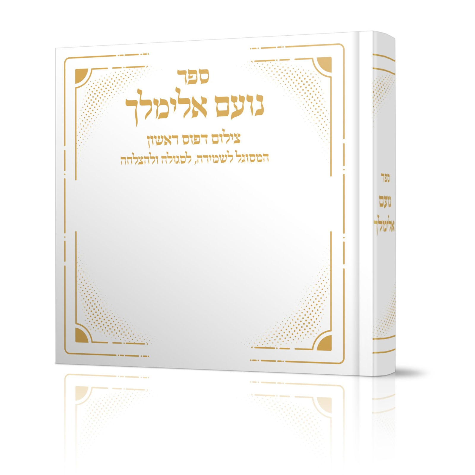 נועם אלימלך