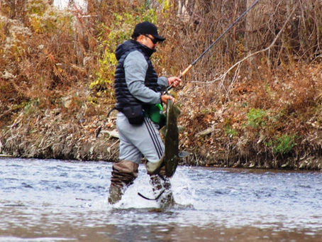 Catch & Release on the Humber River