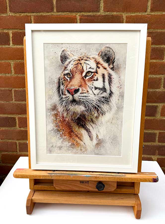Original art, Colour pencil Art, Tiger Art, for sale, Wall Art & Decor, Artist Michael Rose