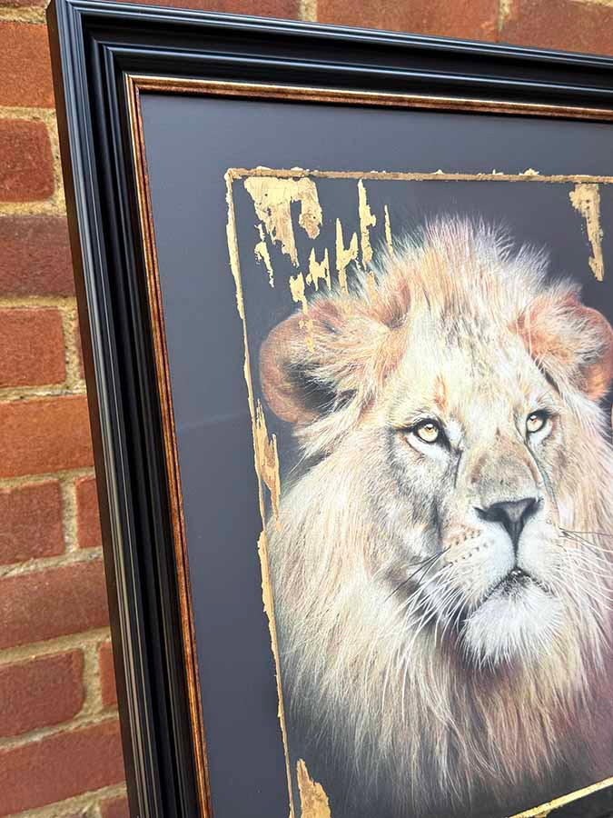 Thumbnail: Original art, Colour pencil Art, Lion Art, Animal Art, Wild Life Art, for sale, Wall Art & Decor, Artist Michael Rose