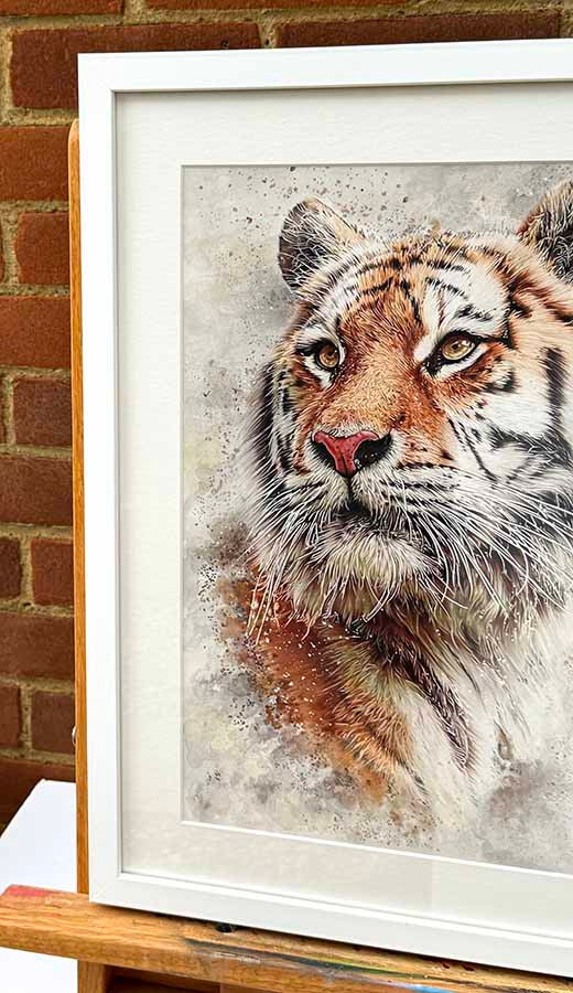 Thumbnail: Original art, Colour pencil Art, Tiger Art, for sale, Wall Art & Decor, Artist Michael Rose