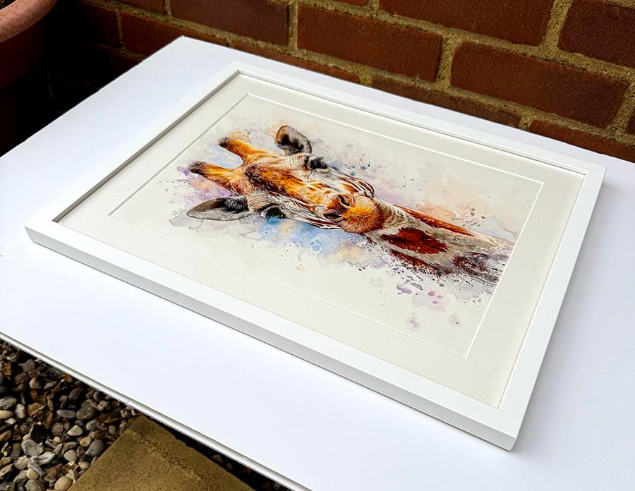 Original art, Colour pencil Art, Giraffe Art, for sale, Wall Art & Decor, Artist Michael Rose