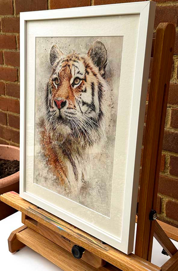 Thumbnail: Original art, Colour pencil Art, Tiger Art, for sale, Wall Art & Decor, Artist Michael Rose