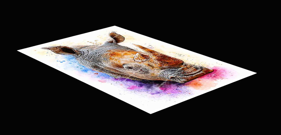 Thumbnail: Animal prints for sale, Water colour art, Colour pencil Art, Rhino Art, for sale, Wall Art & Decor, Artist Michael Rose