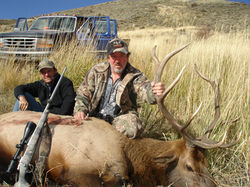 Elk Hunting