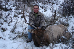 Elk Hunting