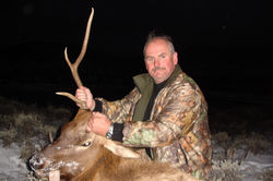 Elk Hunting