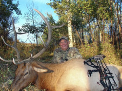 Elk Hunting