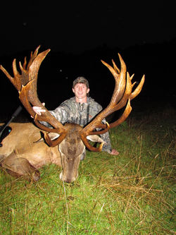 New Zealand Trophy Hunting