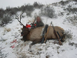 Elk Hunting