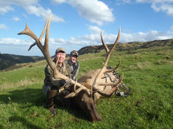 New Zealand Trophy Hunting