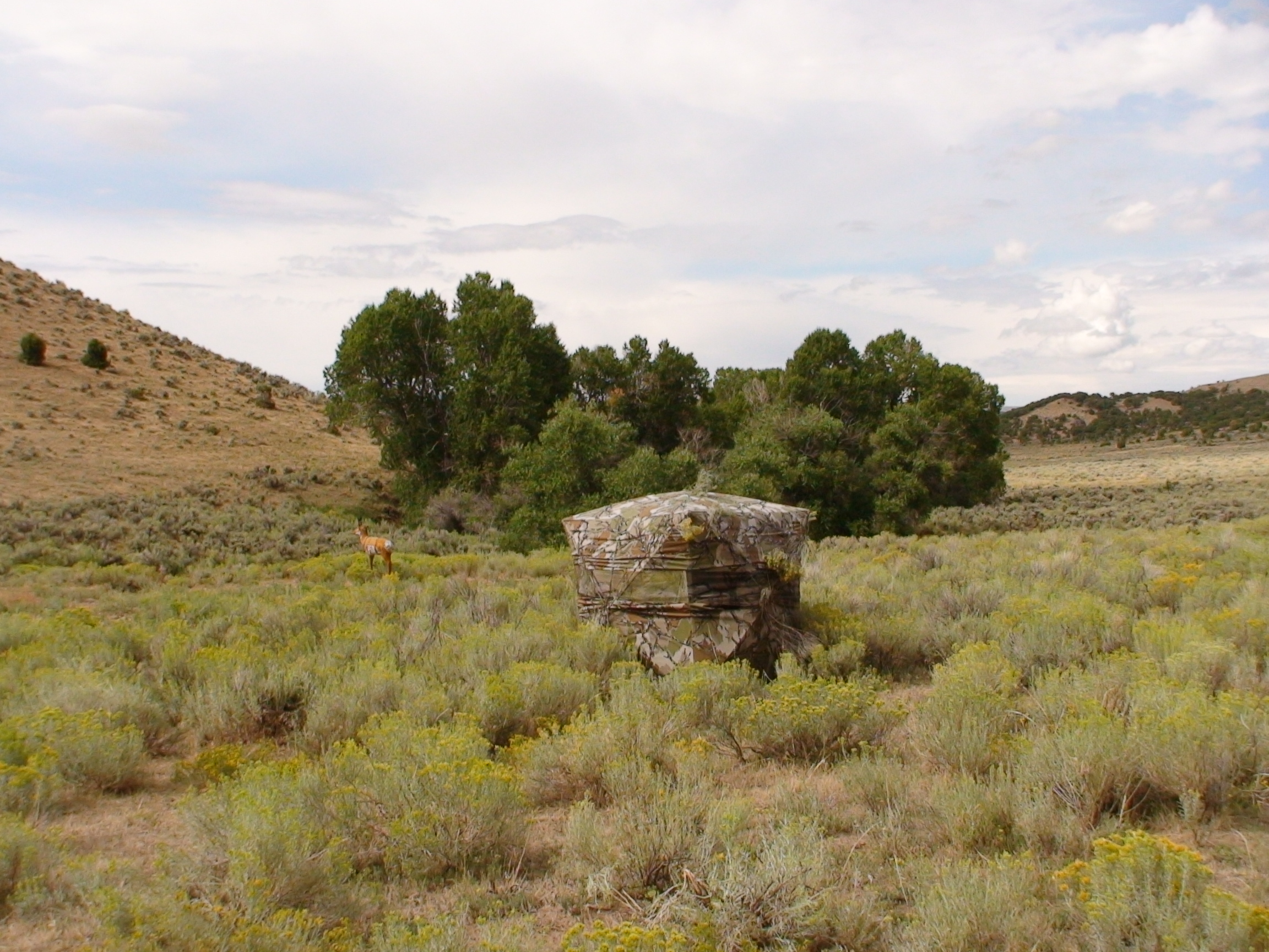 Savery Creek Outfitters Wyoming Trophy Antelope