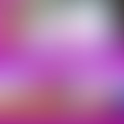 Rakor Penurunan Kemiskinan Ekstrem