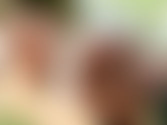 A Fé no Processo PsÃquico