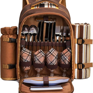 Contemporary Picnic Backpack; Great for hiking found on Amazon.