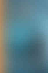 M. G. Lorraine appreciates K. G.Wadehouse discussion of the unforeseen hazards of picnicking like rain and spilled things in Very Good, Jeeves found on Amazon.