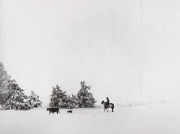 Bob in snowstorm.jpeg