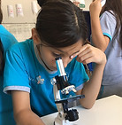 microscopio.jpg