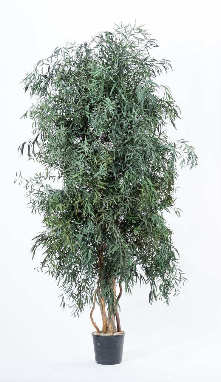 Ca2 Design Benetti Biofilic Design - Ekte konserverte planter, ferdig designet veggpanel,